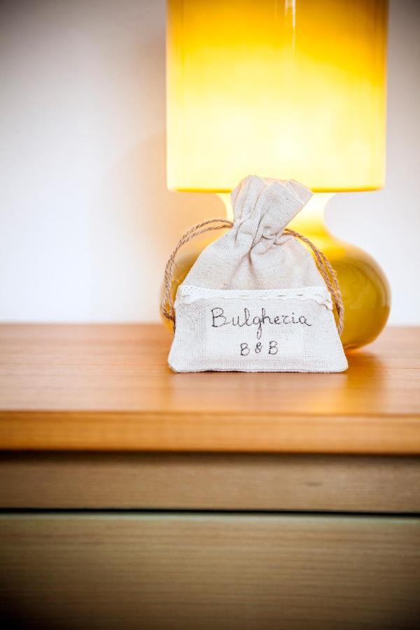 Bulgheriabeb Celle di Bulgheria 外观 照片